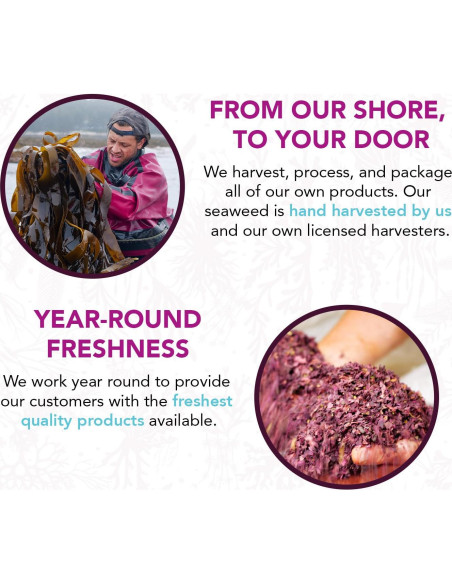 Alga Marina Dulse Vitaminsea 113.4 g - Rica en Nutrientes