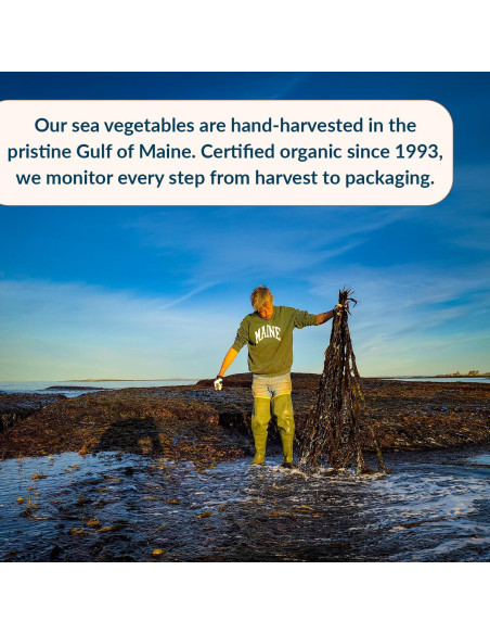 Dulse Hoja Entera Orgánica Maine Coast 56 g - Alga Nutritiva
