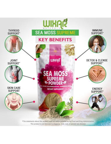 Polvo de Musgo Marino Wixar Naturals 227g - Algas Fucus y Bardana