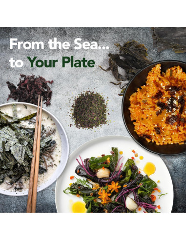Mezcla Triple de Algas Marinas Vitaminsea 113.4 g - Dulse, Kelp y Lechuga de Mar