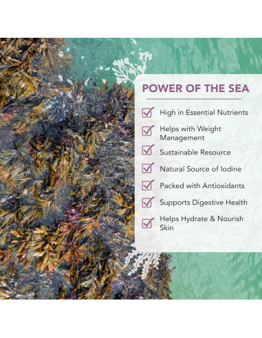Mezcla Triple de Algas Marinas Vitaminsea 113.4 g - Dulse, Kelp y Lechuga de Mar