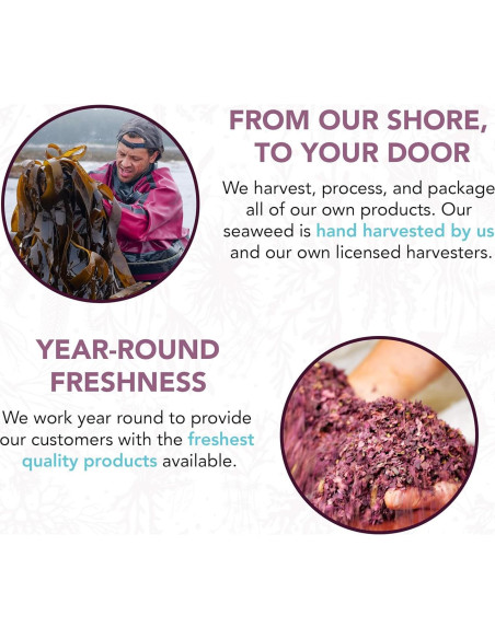 Mezcla Triple de Algas Marinas Vitaminsea 113.4 g - Dulse, Kelp y Lechuga de Mar