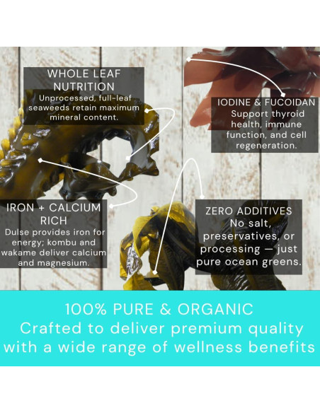 Paquete de Algas Marinas Orgánicas Ocean's Balance 85 g