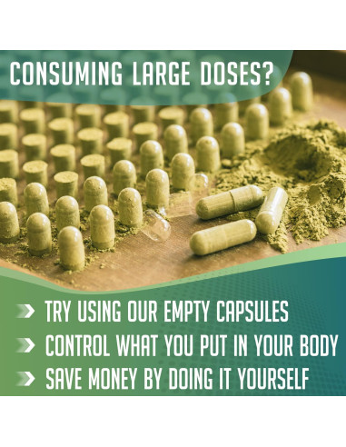 Polvo Orgánico de Algas Marinas XPRS Nutra 226.8g - Suplemento Vegano