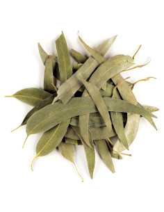 Hojas de Té Eucalipto Orgánico Sueltas 100g - Valley of Tea