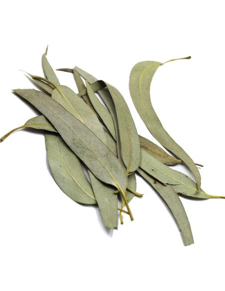 Hojas de Eucalipto Secas FullChea 114g - Sin OGM y Cafeína