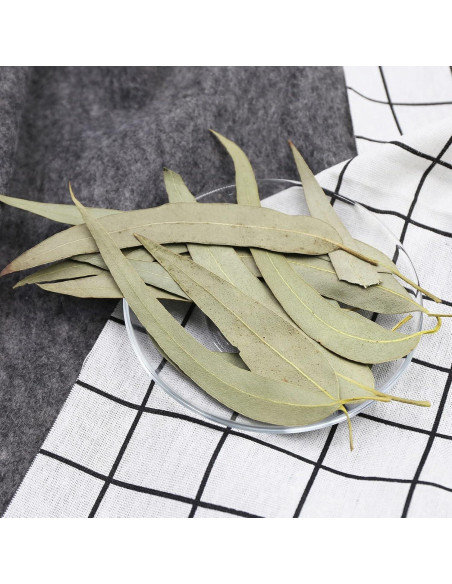 Hojas de Eucalipto Secas FullChea 114g - Sin OGM y Cafeína