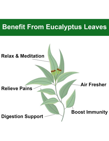 Hojas de Eucalipto Secas FullChea 114g - Sin OGM y Cafeína