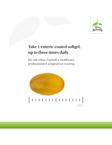 Terry Naturally SinuCare Extra Strength - Suplemento Eucalipto 30 Cápsulas