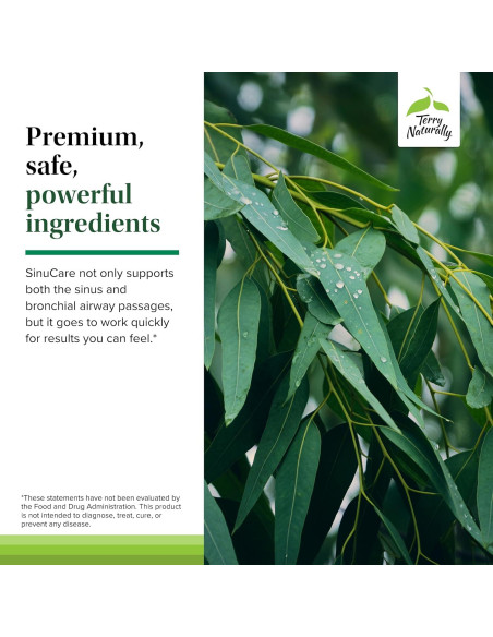Terry Naturally SinuCare Extra Strength - Suplemento Eucalipto 30 Cápsulas