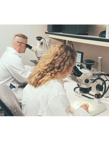 Hojuelas de Perejil Orgánico Frontier Co-op 454 g