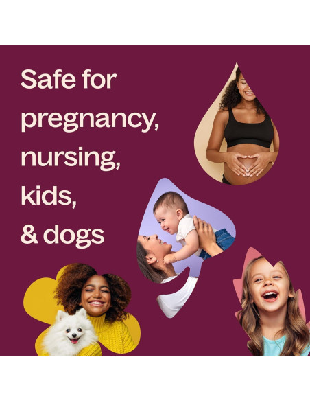 Oleoresina de Copaiba 10 mL Plant Therapy 100% Pura Grado Terapéutico