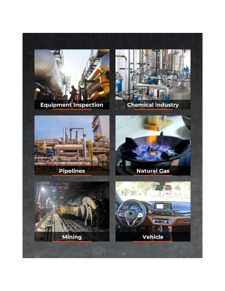 Detector de Gas H2S GOYOJO, 0-100 ppm, Alarmas y Pantalla LCD Detector de Gas H2S GOYOJO, 0-100 ppm, Alarmas y Pantalla LCD