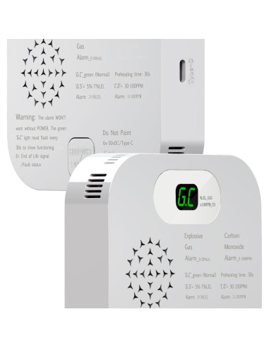 Alarma de Monóxido de Carbono y Gas CAZONER GC580 10 Años