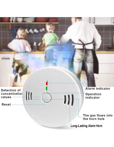 Detector de Humo y Monóxido de Carbono GLBSUNION, Paquete de 2