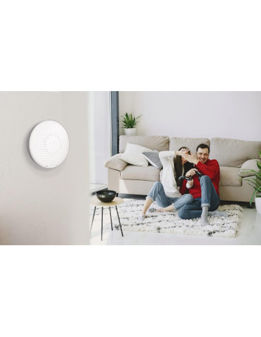 Detector de Radón Inteligente Airthings 2950 con Humedad y Temperatura