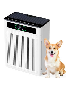 Purificador de Aire HEPA AJR para Habitaciones Grandes 186 m