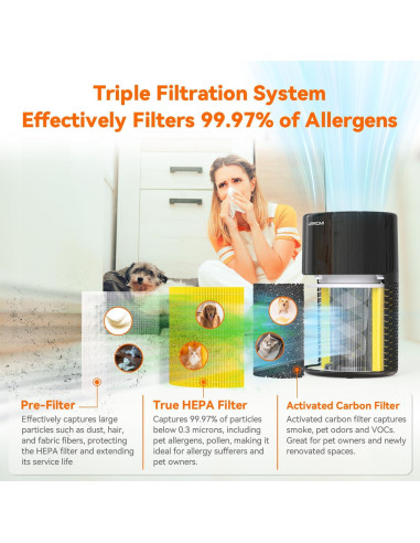 Purificador de Aire AIRROMI A2002 para Mascotas 61 m Negro