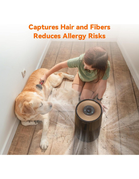 Purificador de Aire AIRROMI A2002 para Mascotas 61 m Negro