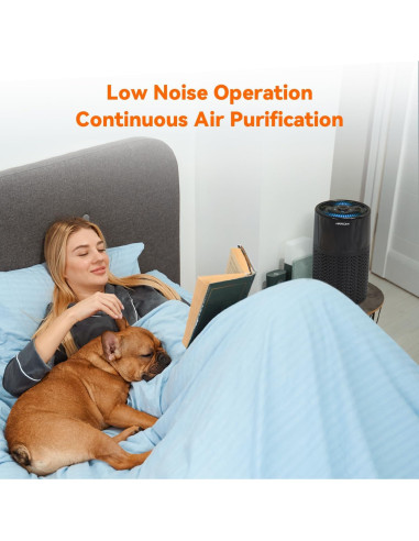 Purificador de Aire AIRROMI A2002 para Mascotas 61 m Negro