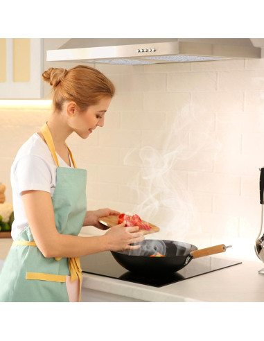 Filtro de Ventilación de Grasa WZKO 29.8 x 28.6 cm para Campanas