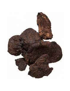 Raíz de Rehmannia Di Huang Sheng 0.45 kg - Plum Dragon Herbs