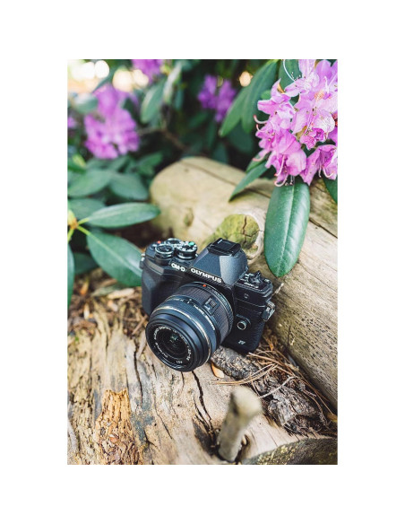 Cámara OM SYSTEM Olympus OM-D E-M10 Mark IV + Lente 14-42mm