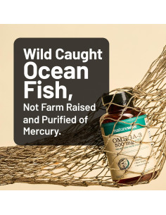 NatureWise Omega 3 Aceite de Pescado 500mg - 60 Cápsulas Blandas 2