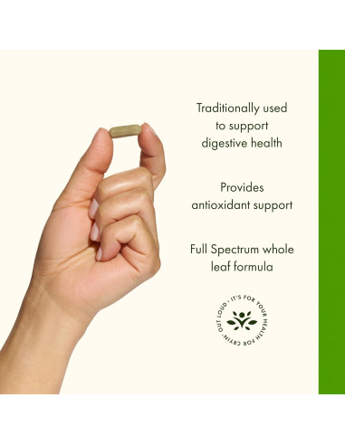 Suplemento de Hoja de Menta Verde Swanson 400mg - 60 Cápsulas