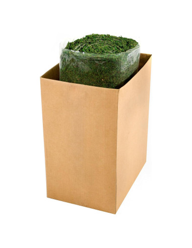 Alfombra de Musgo Verde Instantáneo SuperMoss 0.46x7.32m