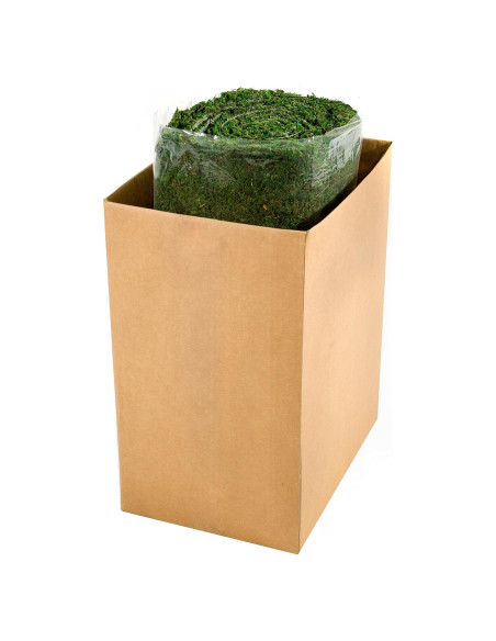 Alfombra de Musgo Verde Instantáneo SuperMoss 0.46x7.32m