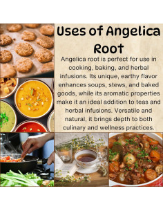 Raíz de Angélica Archangelica 99.22 g - Té Herbal Premium 2