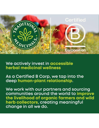 Té de Hoja de Ortiga Orgánica Medicinales Tradicionales - 48 Bolsitas