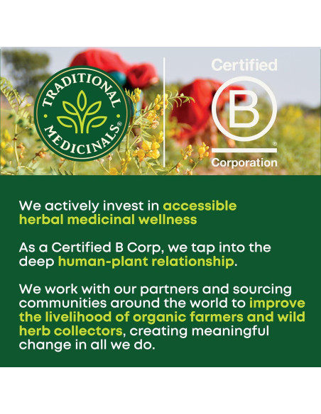 Té de Hoja de Ortiga Orgánica Medicinales Tradicionales - 48 Bolsitas Té de Hoja de Ortiga Orgánica Medicinales Tradicionales - 48 Bolsitas