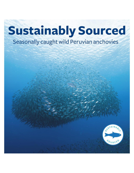 Suplemento Omega 7 Healths Harmony - 30 Cápsulas de Aceite de Pescado Suplemento Omega 7 Healths Harmony - 30 Cápsulas de Aceite de Pescado