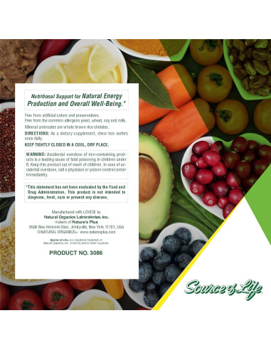 Multivitamínico Masticable Natures Plus Fuente de Vida 90 Wafers