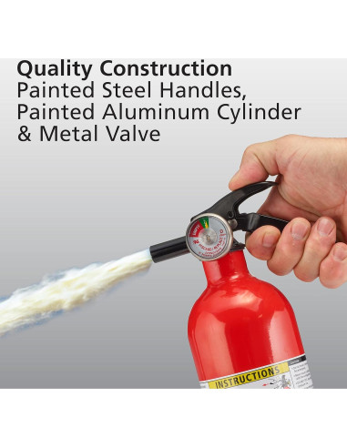 Detector de Humo y Monóxido Kidde + 2 Extintores 1.13 kg