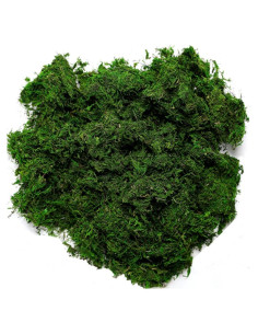 Musgo Conservado Byher 92926 Verde Fresco 0.45kg