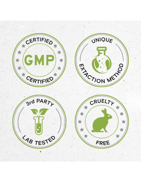 Extracto de Yerba Mate Orgánico USDA Secretos de la Tribu 59.15 ml