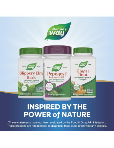 Aceite de Menta Pepogest Nature's Way 60 Gelatinas Blandas