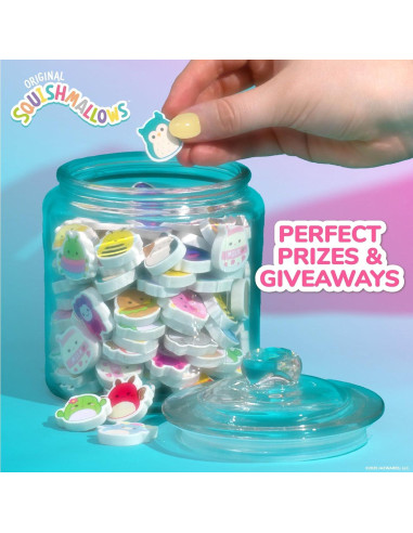 Conjunto de 25 Borradores Mini Squishmallows Originales