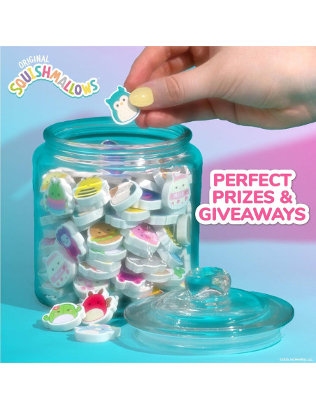 Conjunto de 25 Borradores Mini Squishmallows Originales