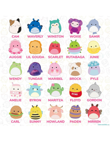 Conjunto de 25 Borradores Mini Squishmallows Originales
