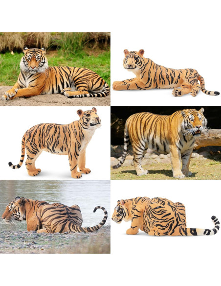 Figuras de Tigres y Cachorros Toymany - Set 6 Piezas Educativo