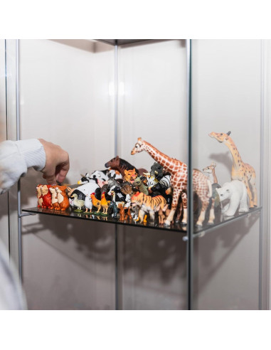 Caja de Exhibición Acrílica MECCANIXITY 10x10x25cm Transparente