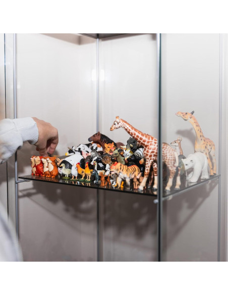 Caja de Exhibición Acrílica MECCANIXITY 10x10x25cm Transparente