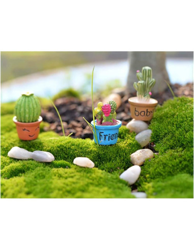 Set 7 Plantas Miniatura para Casa de Muñecas Lynkaye 1:12