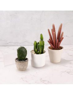 Estante Flotante Acrílico PATIKIL 30x20cm Transparente 2