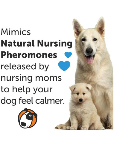 Collar Antiestrés ThunderEase para Perros Grande - Feromonas