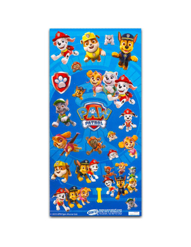 Aro de Baloncesto Interior Paw Patrol con Mini Balón 34.3cm